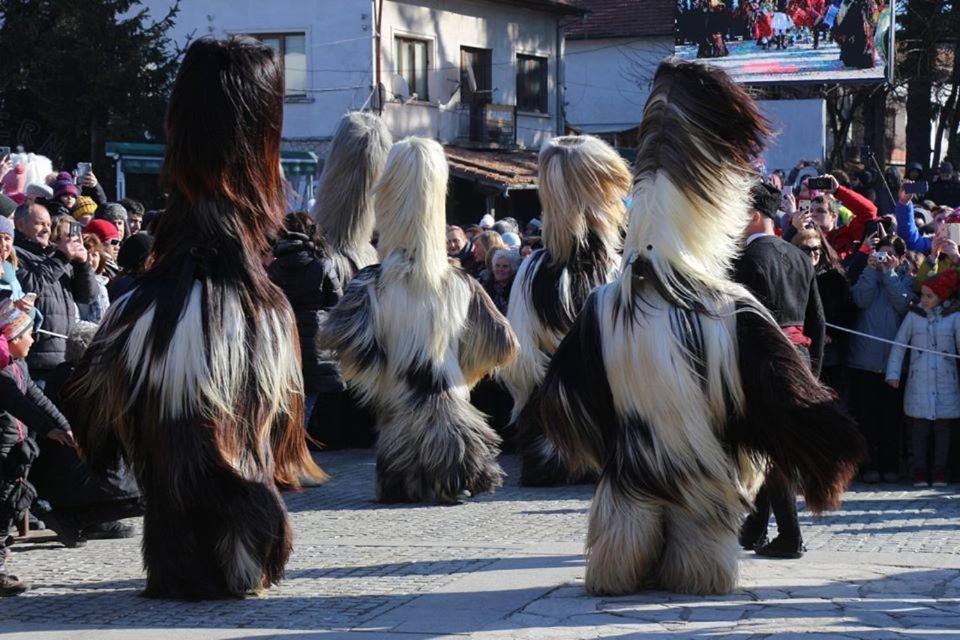 Hotel Alpin - 91 Bansko Exteriör bild