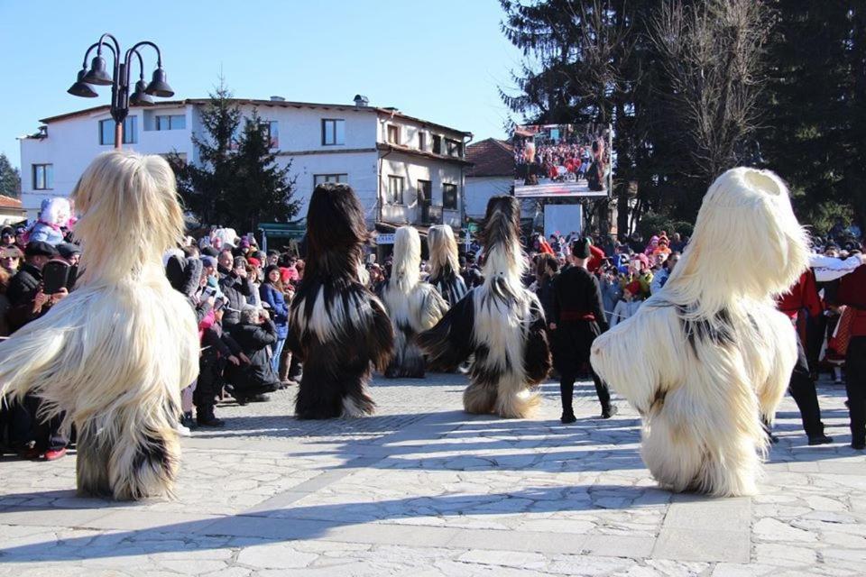 Hotel Alpin - 91 Bansko Exteriör bild