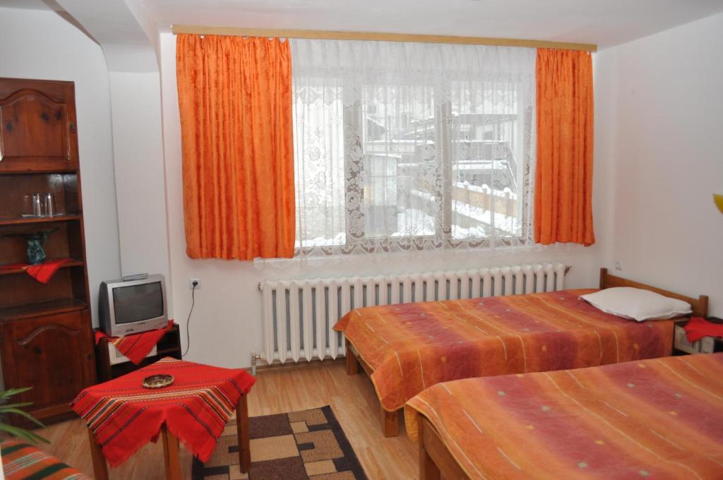 Hotel Alpin - 91 Bansko Rum bild