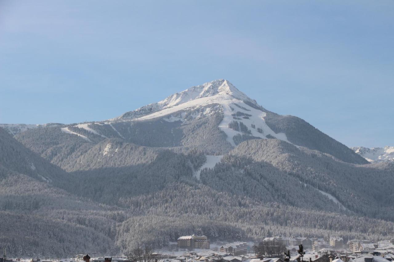 Hotel Alpin - 91 Bansko Exteriör bild